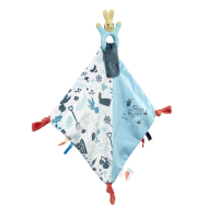 Pierre Lapin Doudou d'éveil avec anneau de dentition